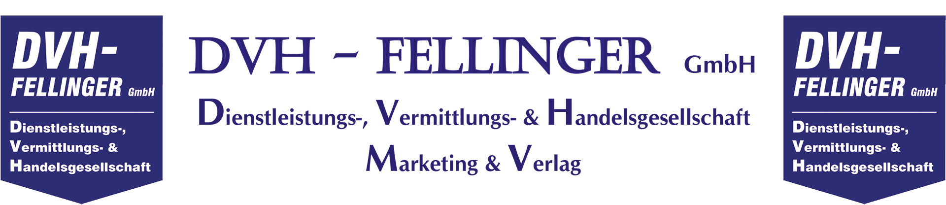 Musterseite-Hosting - DVH-Fellinger GmbH